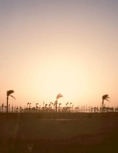 UAE